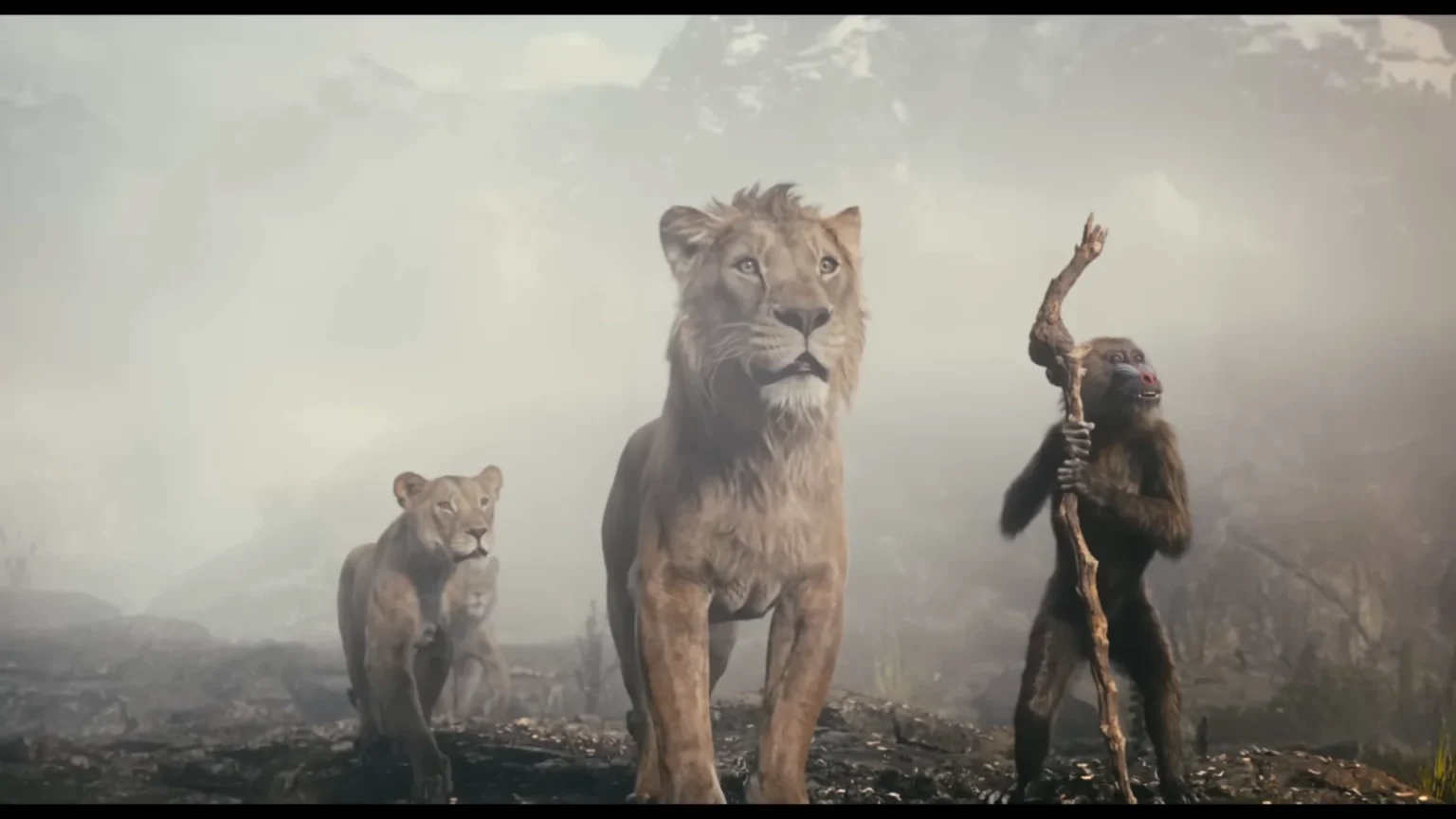 Mufasa The Lion King, Transformer One, Sonic 3 Featured Image