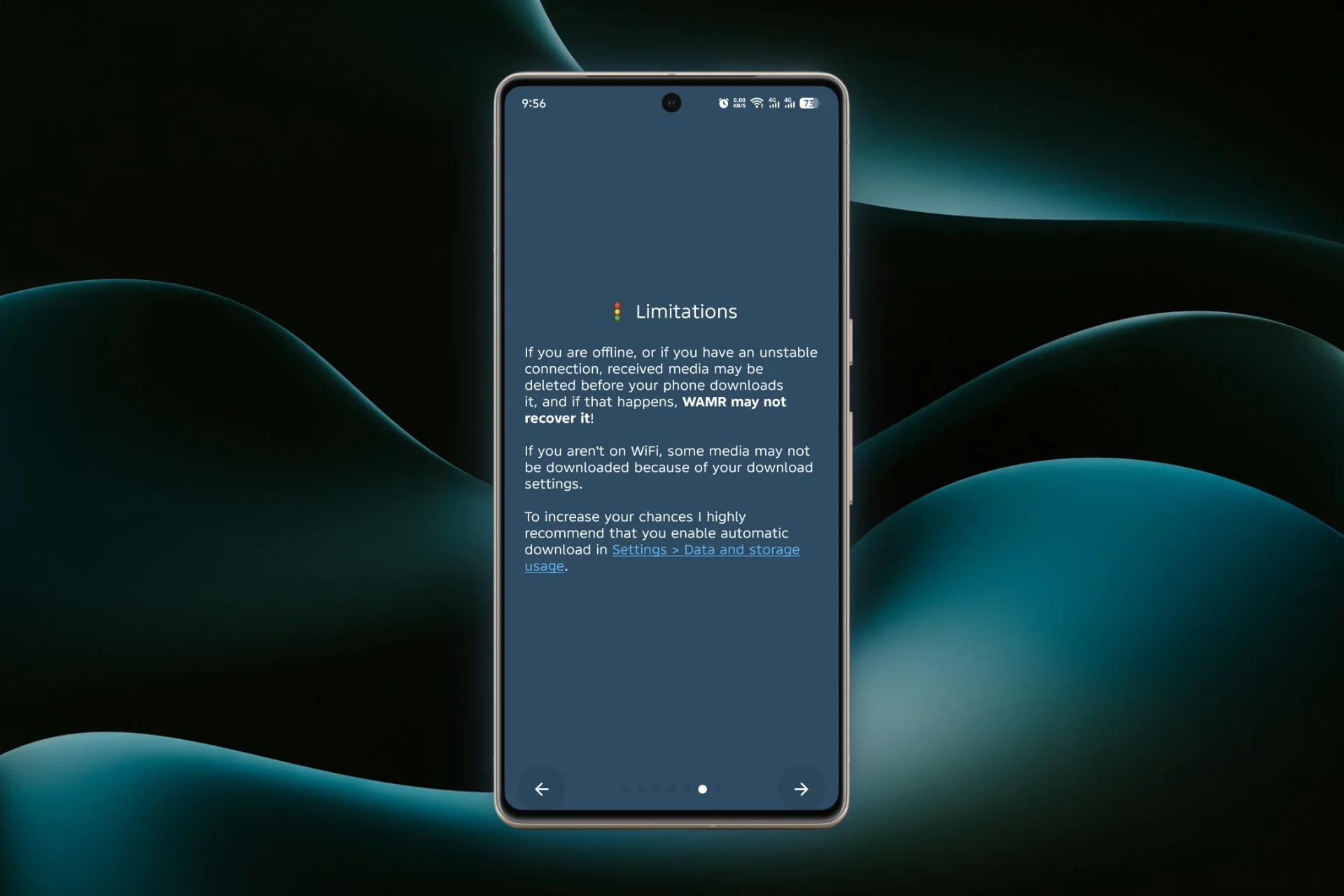 Grant Storage Permission to WAMR