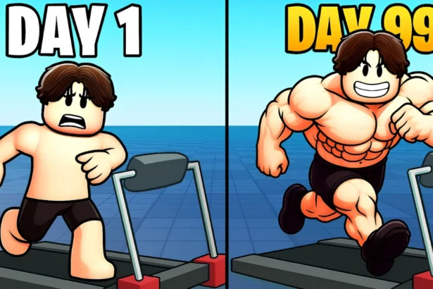 My Gym Codes